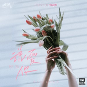 刘诺然《说爱你》Flac/MP3格式 无损音乐下载-无损音乐源