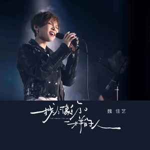 魏佳艺《找个像你一样的人》Flac/MP3格式 无损音乐下载-无损音乐源