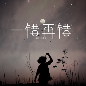 朴惠子《一错再错》Flac/MP3格式 无损音乐下载-无损音乐源