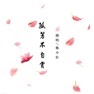 杨小壮《孤芳不自赏》Flac/MP3格式 无损音乐下载-无损音乐源