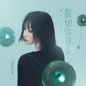 胡66《假如你回头》Flac/MP3格式 无损音乐下载-无损音乐源