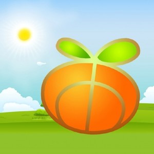 小爱的妈《雁城雪》Flac/MP3格式 无损音乐下载-无损音乐源