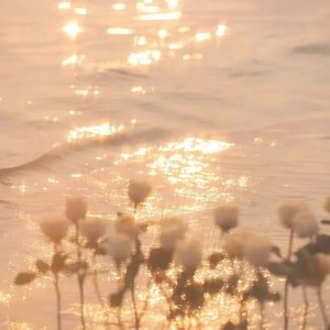 陌九《我曾遇到一束光》Flac/MP3格式 无损音乐下载-无损音乐源