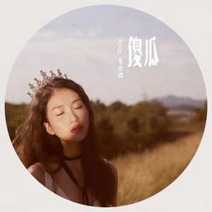 季彦霖《傻瓜》Flac/MP3格式 无损音乐下载-无损音乐源