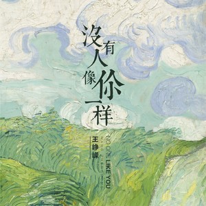王峥嵘《没有人像你一样》Flac/MP3格式 无损音乐下载-无损音乐源