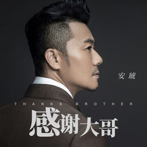 安琥《感谢大哥》Flac/MP3格式 无损音乐下载-无损音乐源