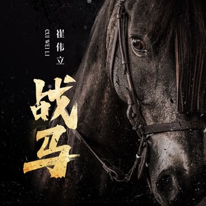 崔伟立《战马》Flac/MP3格式 无损音乐下载-无损音乐源