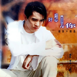 王子鸣《伤心雨》Flac/MP3格式 无损音乐下载-无损音乐源