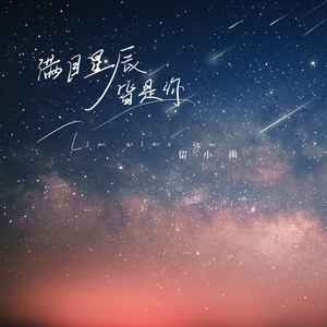 留小雨《满目星辰皆是你》Flac/MP3格式 无损音乐下载-无损音乐源
