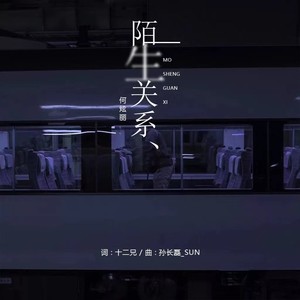 何炫丽《陌生关系》Flac/MP3格式 无损音乐下载-无损音乐源