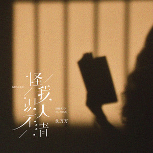 沈万万《怪我识人不清》Flac/MP3格式 无损音乐下载-无损音乐源