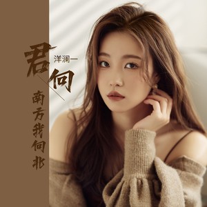 洋澜一《君向南方我向北》Flac/MP3格式 无损音乐下载-无损音乐源