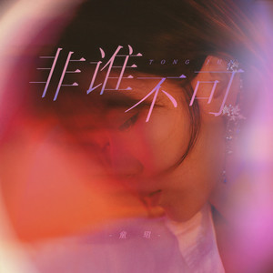 童珺《非谁不可》Flac/MP3格式 无损音乐下载-无损音乐源