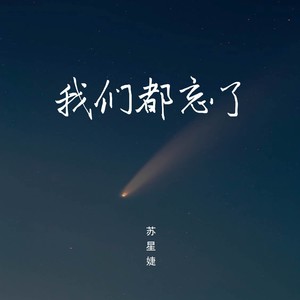 苏星婕《我们都忘了》Flac/MP3格式 无损音乐下载-无损音乐源