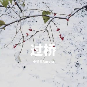 小星星Aurora《音之界》Flac/MP3格式 无损音乐下载-无损音乐源