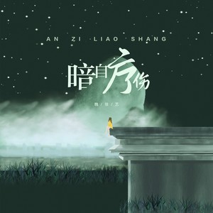 魏佳艺《暗自疗伤》Flac/MP3格式 无损音乐下载-无损音乐源