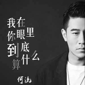 何流《我在你眼里到底算什么》Flac/MP3格式 无损音乐下载-无损音乐源