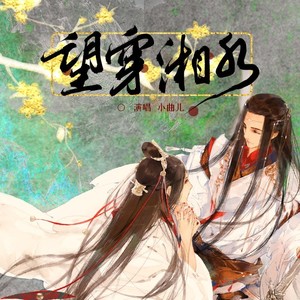 小曲儿《望穿湘水》Flac/MP3格式 无损音乐下载-无损音乐源