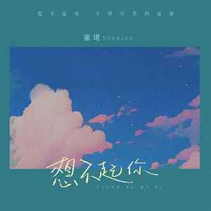 童珺《想不起你》Flac/MP3格式 无损音乐下载-无损音乐源