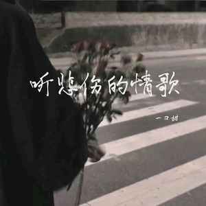 一口甜《听悲伤的情歌》Flac/MP3格式 无损音乐下载-无损音乐源