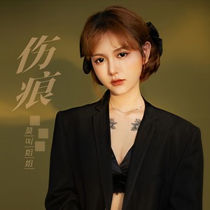 莫叫姐姐《伤痕》Flac/MP3格式 无损音乐下载-无损音乐源