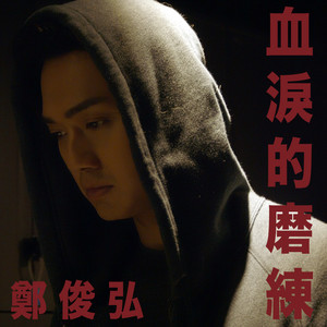 郑俊弘《血泪的磨练》Flac/MP3格式 无损音乐下载-无损音乐源