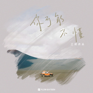 三块木头《你可能不懂》Flac/MP3格式 无损音乐下载-无损音乐源