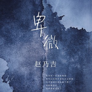 赵乃吉《卑微》Flac/MP3格式 无损音乐下载-无损音乐源