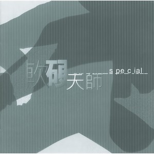 软硬天师/王菲《只因喜欢Faye》Flac/MP3格式 无损音乐下载-无损音乐源