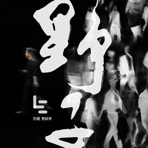 贾跃亭《野子》Flac/MP3格式 无损音乐下载-无损音乐源