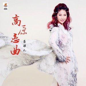 蓝琪儿《高原恋曲》Flac/MP3格式 无损音乐下载-无损音乐源