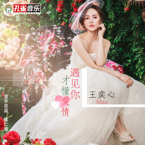 王奕心《遇见你才懂爱情》Flac/MP3格式 无损音乐下载-无损音乐源