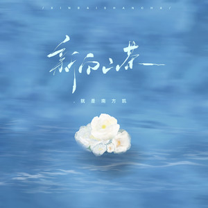 就是南方凯《新白山茶》Flac/MP3格式 无损音乐下载-无损音乐源