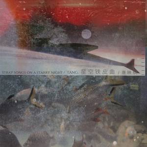 唐映枫《星空铁皮曲》Flac/MP3格式 无损音乐下载-无损音乐源