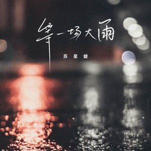 苏星婕《等》Flac/MP3格式 无损音乐下载-无损音乐源