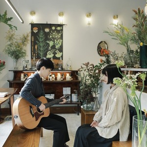 房东的猫《等我们老了，就定居在重庆》Flac/MP3格式 无损音乐下载-无损音乐源