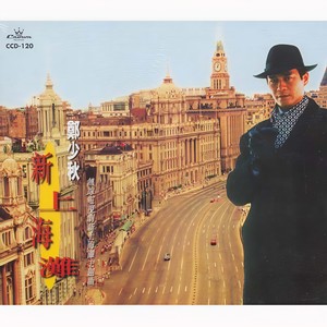 郑少秋《能否再遇上》Flac/MP3格式 无损音乐下载-无损音乐源