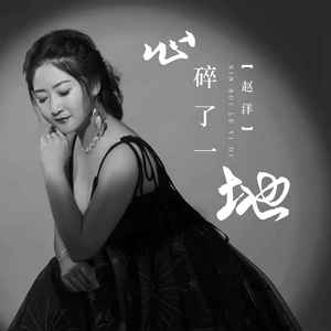 赵洋《心碎了一地》Flac/MP3格式 无损音乐下载-无损音乐源