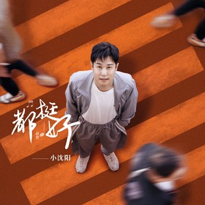 小沈阳《都挺好》Flac/MP3格式 无损音乐下载-无损音乐源
