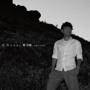 杨宗纬《被遗忘的》Flac/MP3格式 无损音乐下载-无损音乐源