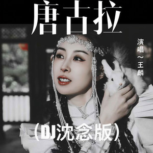 王麟《唐古拉》Flac/MP3格式 无损音乐下载-无损音乐源