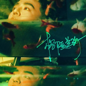 朱兴东《格陵兰海》Flac/MP3格式 无损音乐下载-无损音乐源