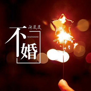 向思思《不婚》Flac/MP3格式 无损音乐下载-无损音乐源