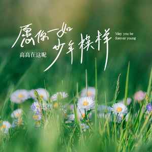 高高在这呢《愿你一如少年模样》Flac/MP3格式 无损音乐下载-无损音乐源