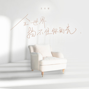 王巨星《全世界挡不住你的光》Flac/MP3格式 无损音乐下载-无损音乐源