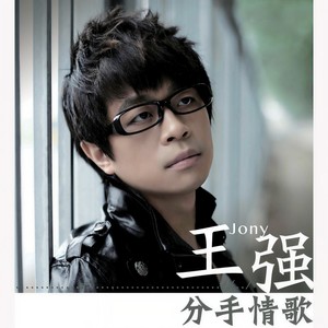王强《分手情歌》Flac/MP3格式 无损音乐下载-无损音乐源