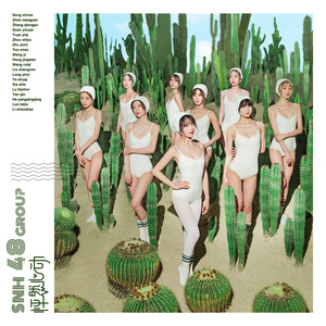 SNH48《怦然心动》Flac/MP3格式 无损音乐下载-无损音乐源