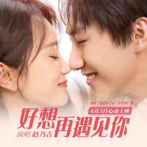 赵乃吉《好想再遇见你》Flac/MP3格式 无损音乐下载-无损音乐源