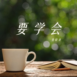 贾晓龙《要学会》Flac/MP3格式 无损音乐下载-无损音乐源
