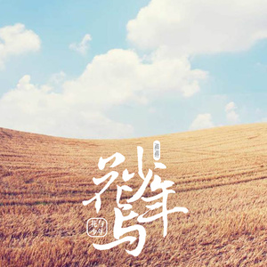 蒋蒋《花与少年》Flac/MP3格式 无损音乐下载-无损音乐源